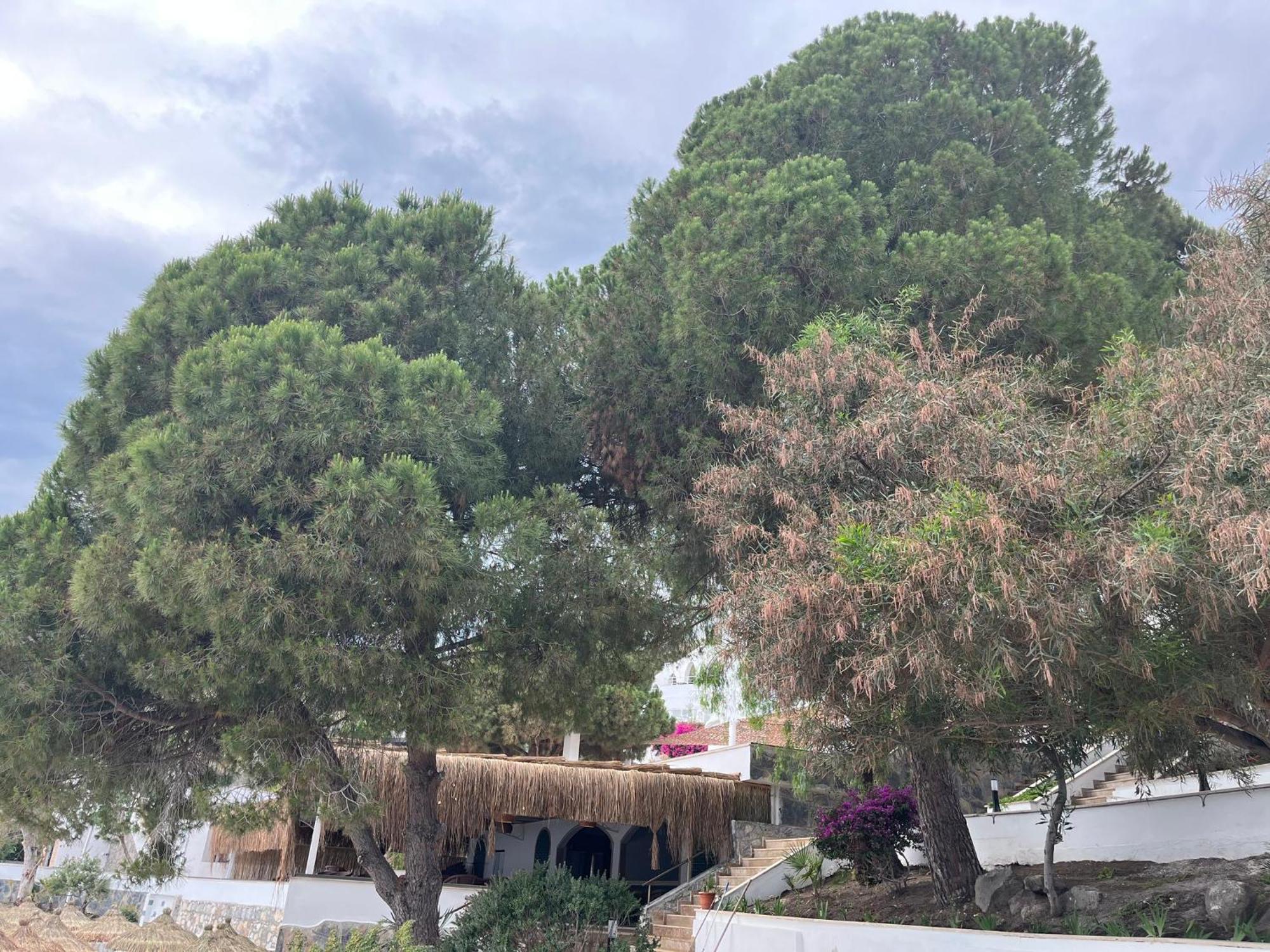 Holiday Inn Resort Bodrum By Ihg Esterno foto